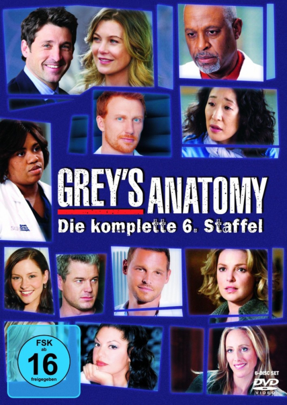 Greys Anatomy - Die komplette 6. Staffel (6-DVD)