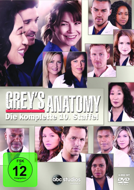 Greys Anatomy - Die komplette 10. Staffel (6-DVD)