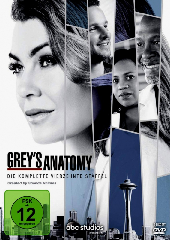 Greys Anatomy - Die komplette 14. Staffel (6-DVD)
