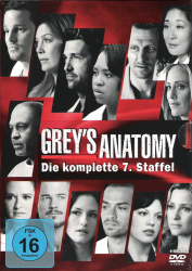 Greys Anatomy - Die komplette 7. Staffel (6-DVD)