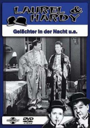 Laurel & Hardy - Gelächter in der Nacht u.a. (DVD)
