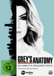 Greys Anatomy - Die komplette 13. Staffel (6-DVD)