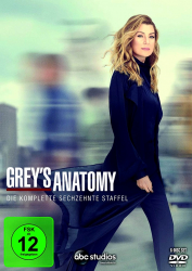 Greys Anatomy - Die komplette 16. Staffel (6-DVD)