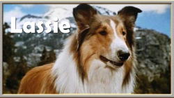 Lassie Klassiker-Box - Die schönsten Spielfilme (14-Filme / 5-DVD)